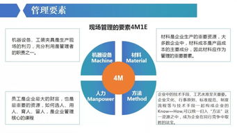 现场安全管理及隐患辨识,看图识隐患,全面
